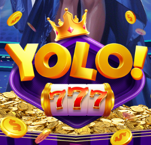 Yolo game cover